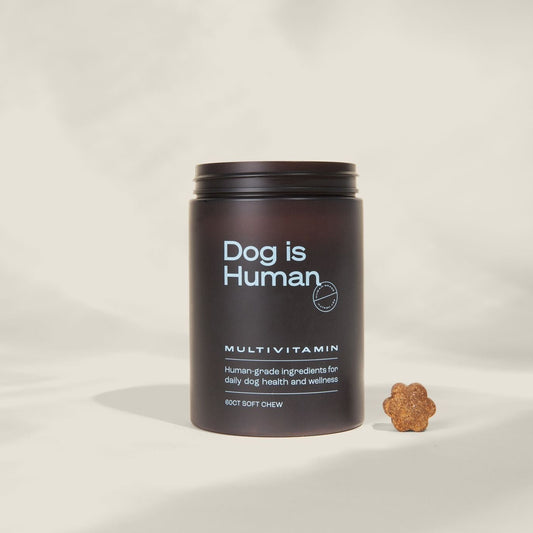 DM-01 Daily Multivitamin